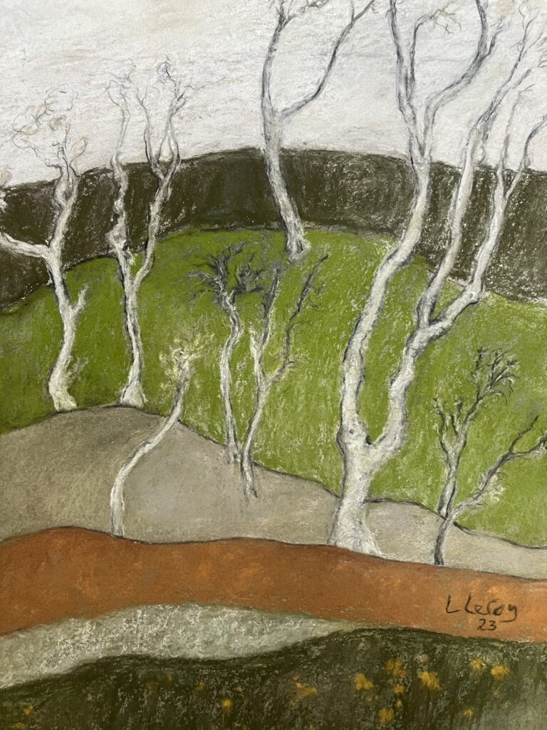 Kellan Wood, from The Life of Trees series by Linda Leroy